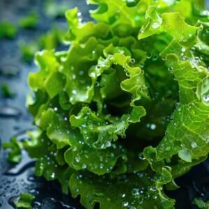 raw food with water drops
