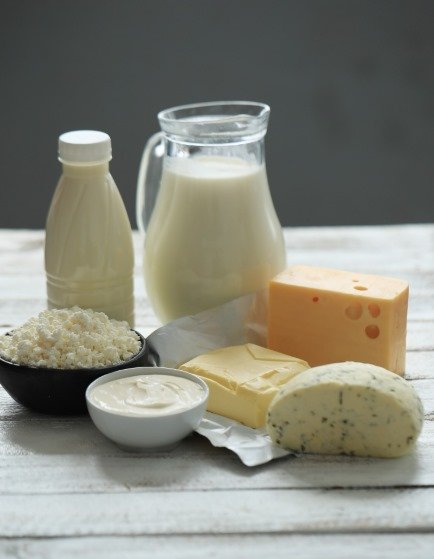 dairy products