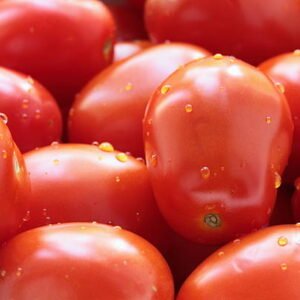 Tomatoes